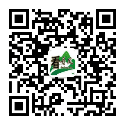 看丹凤公众号二维码