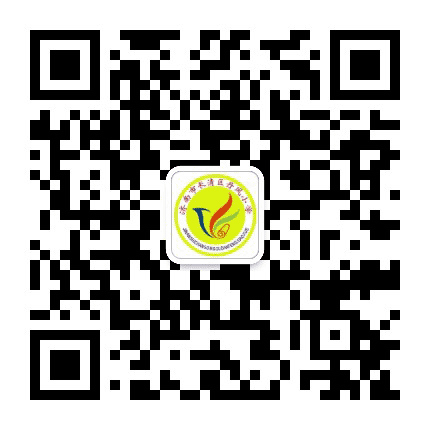 长清区丹凤小学公众号二维码