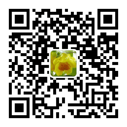 到处游公众号二维码
