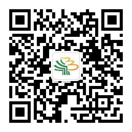 大树集团公众号二维码