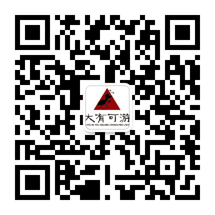 大有平控旅行服务机构公众号二维码