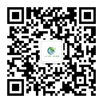 东部新区石盘发布公众号二维码