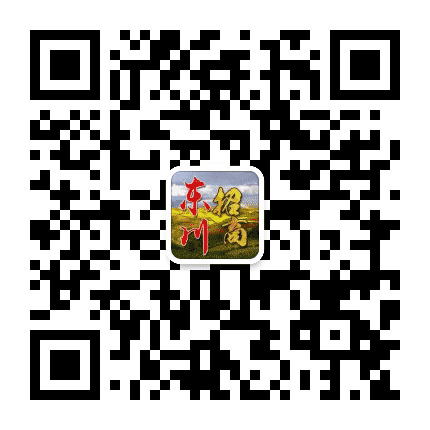 东川招商公众号二维码
