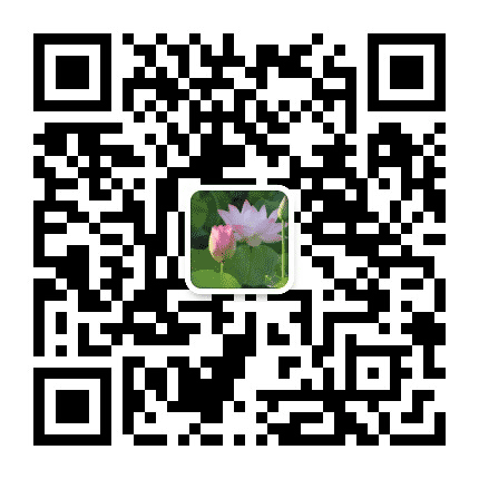 莲湖清风公众号二维码