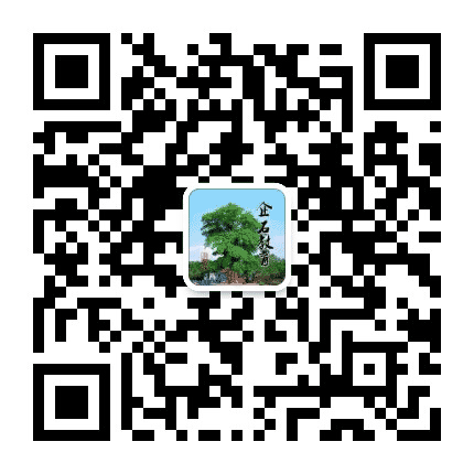 企石教育公众号二维码