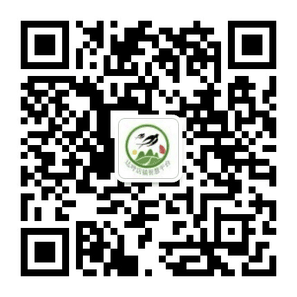 达呼店党建微平台公众号二维码