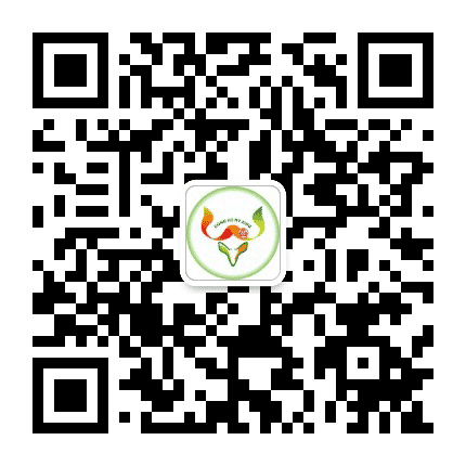 东河妇联公众号二维码
