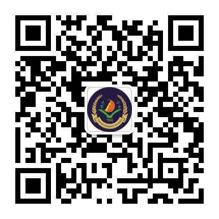 宝山区大华小学公众号二维码