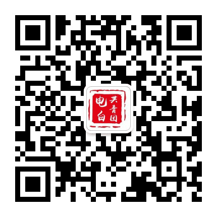 电白共青团公众号二维码