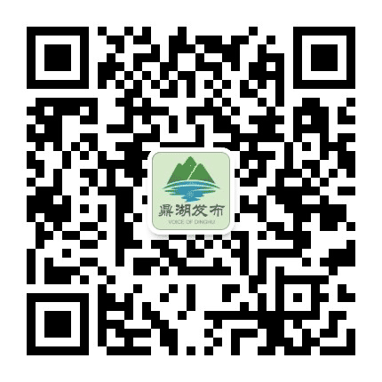 鼎湖发布公众号二维码