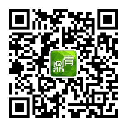 鼎湖青年资讯公众号二维码