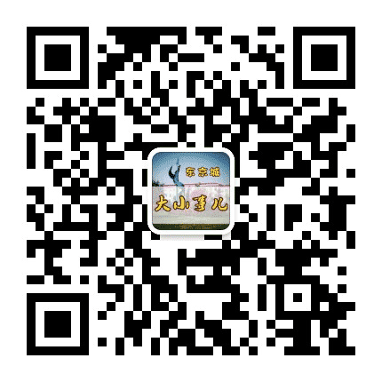 东京城大小事儿公众号二维码