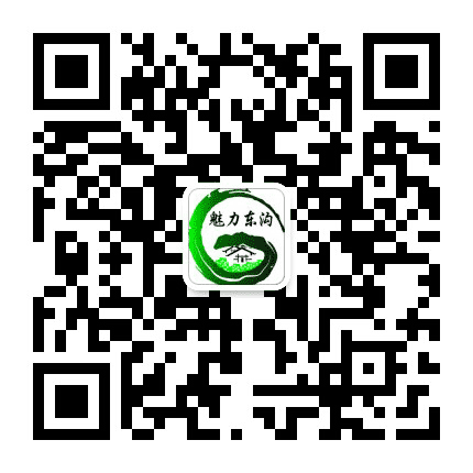 魅力东沟公众号二维码