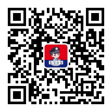 平安东宝公众号二维码