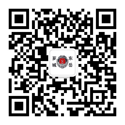 芗城大队东岳中队公众号二维码
