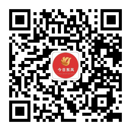今日东凤公众号二维码