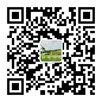 阳明酒店公众号二维码