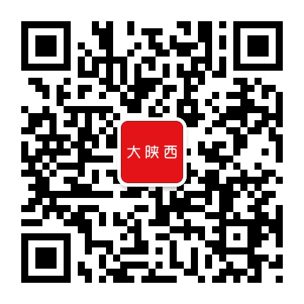 大陕西公众号二维码