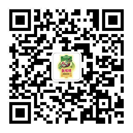 敦煌牌民族乐器公众号二维码