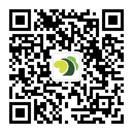 耳朵树公众号二维码