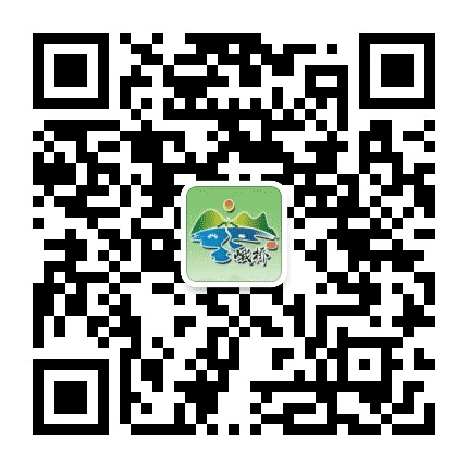 油彩峨桥公众号二维码
