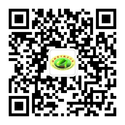防城港市桃源小学公众号二维码