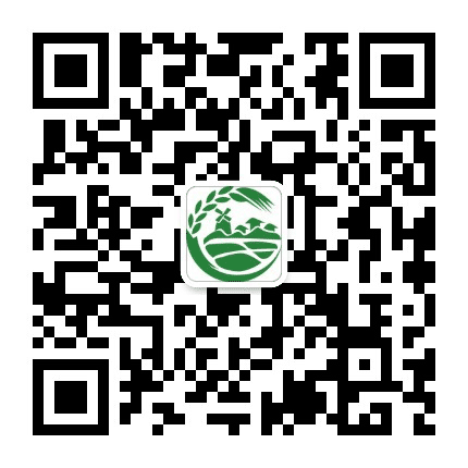 富春卷首 稻香渔村公众号二维码