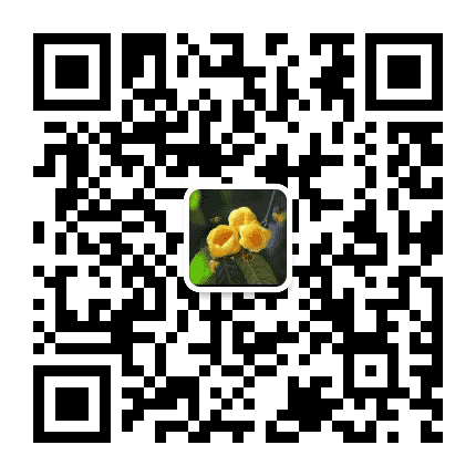 金色防城公众号二维码