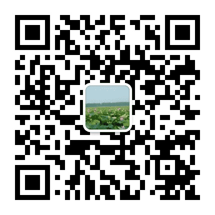 丰乐河畔公众号二维码