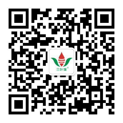 三叶莲公众号二维码
