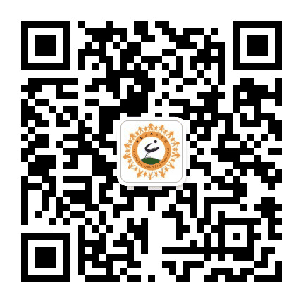 抚顺青少年公众号二维码