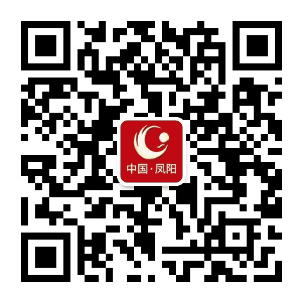 中国凤阳公众号二维码