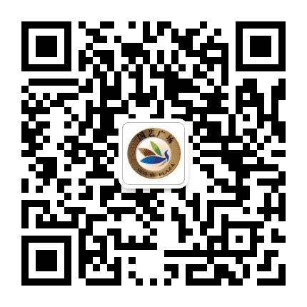 福州国艺广场公众号二维码