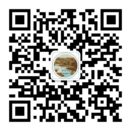 网信噶尔公众号二维码