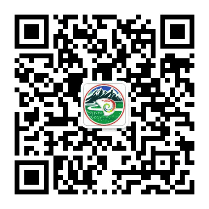 岗巴在线公众号二维码