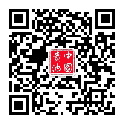 贵池区人民政府发布公众号二维码
