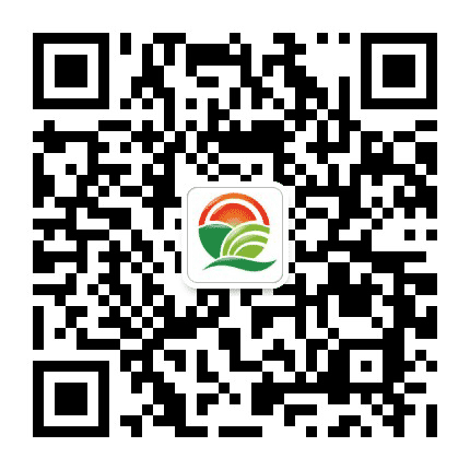 惠州市食品行业协会公众号二维码