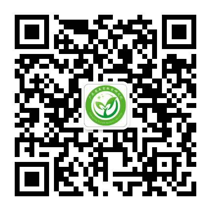 广东省美育教育研究院公众号二维码