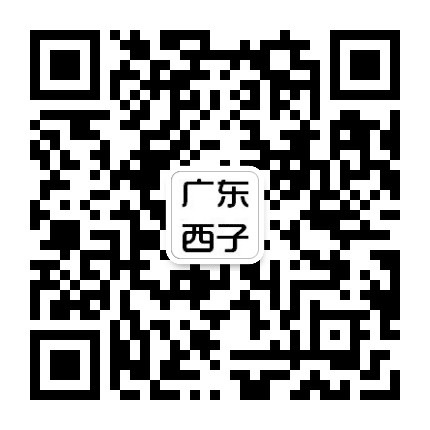 广东西子电梯公众号二维码