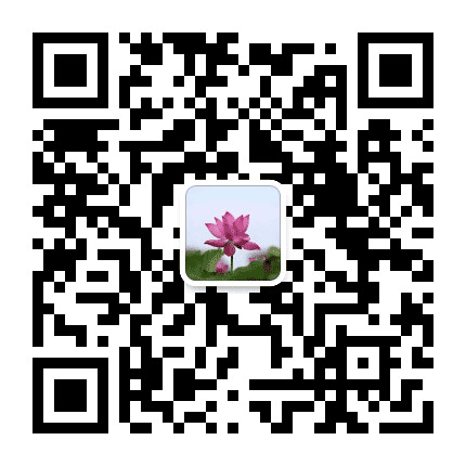贵港共青团公众号二维码