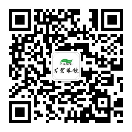 千叶眼镜桐梓360店公众号二维码