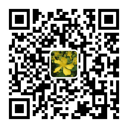 洛阳星望教育公众号二维码