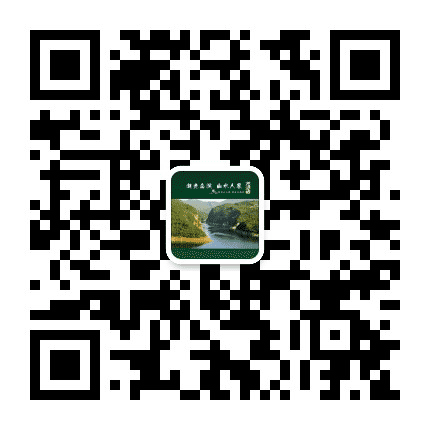 金洞发布公众号二维码