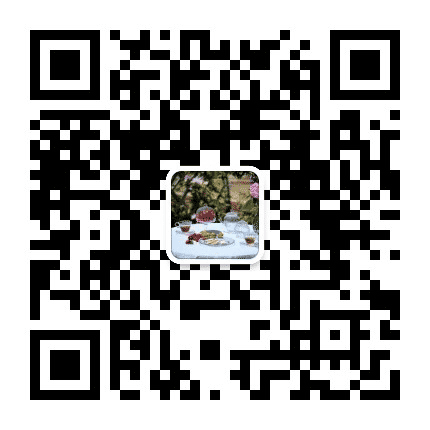 相思小情歌公众号二维码