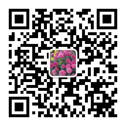玉兰情歌公众号二维码