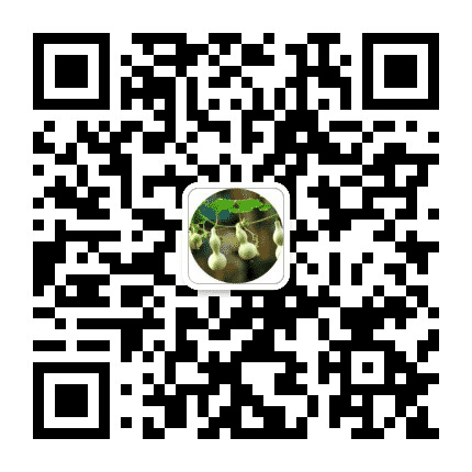 美妈菜园子公众号二维码