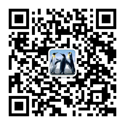 博美芬公众号二维码