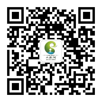 八卦洲掌上便民服务公众号二维码