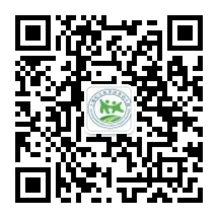 上海松江区手拉手幼儿园公众号二维码
