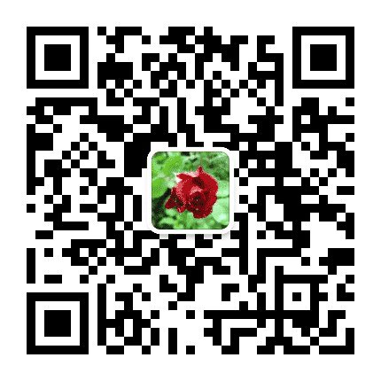 岁岁如意相册公众号二维码